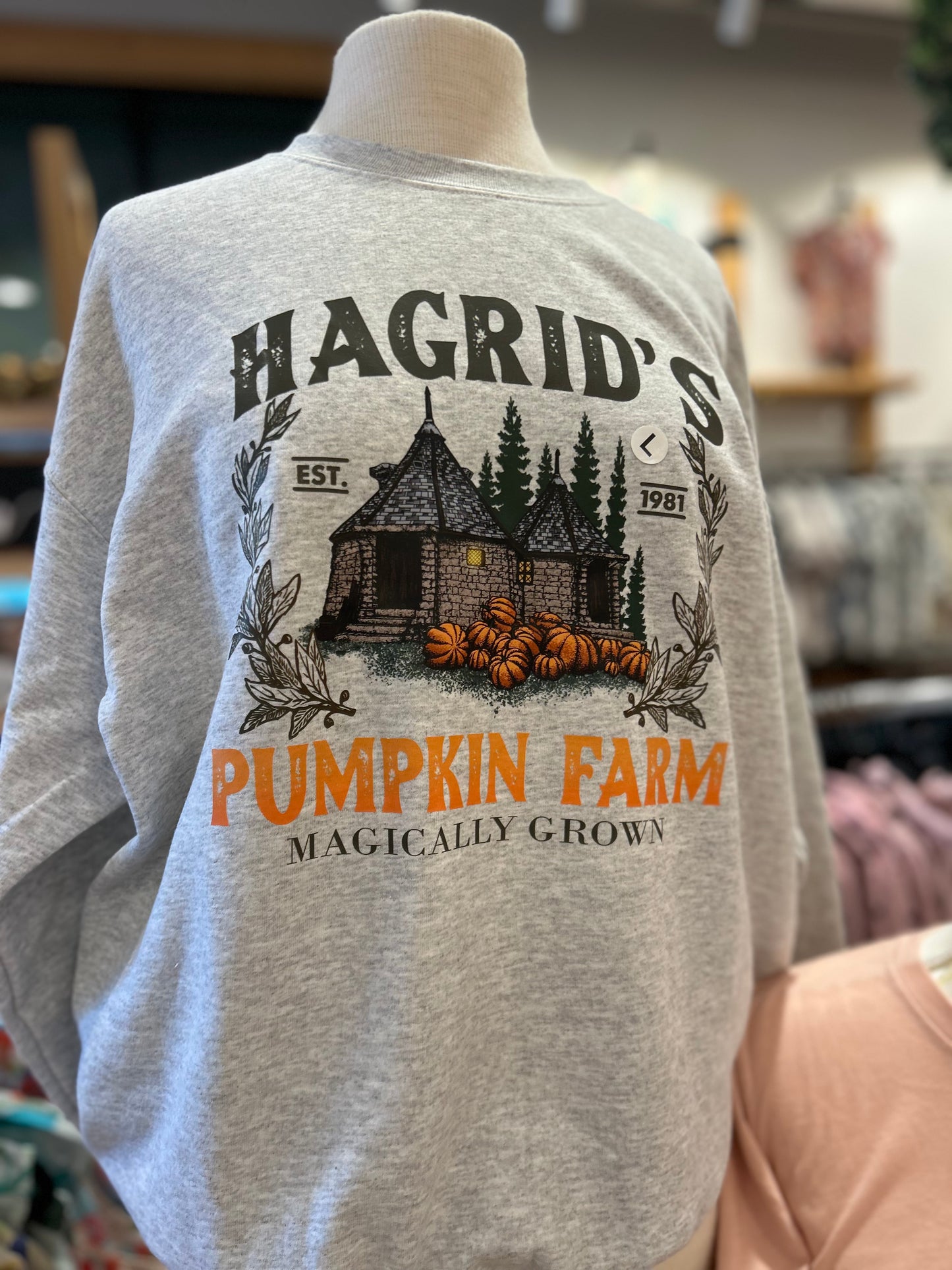 Hag Pumpkin Farm