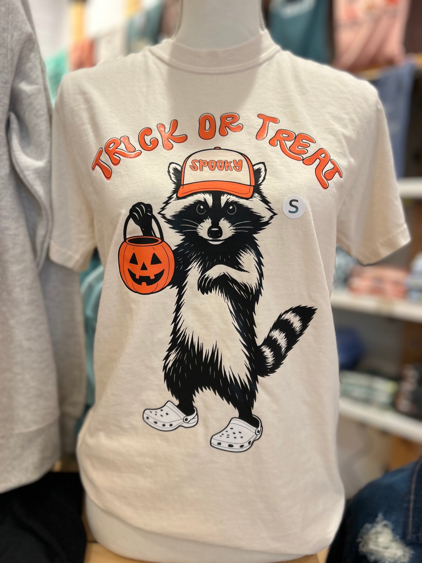 Trick or Treat Raccoon
